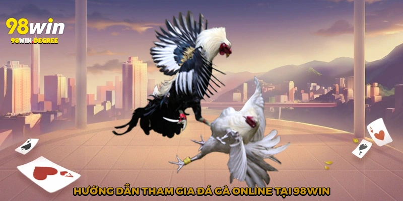 Đá Gà Online Uy Tín - Lựa Chọn Hoàn Hảo Cho Dân Chơi 98Win 3 Hướng dẫn tham gia đá gà online tại 98Win