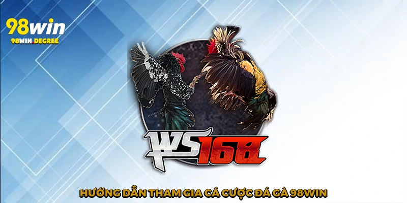 Cá Cược Đá Gà 98Win - Sức Hút Khó Cưỡng Của Sân Chơi 3 Hướng dẫn tham gia cá cược đá gà 98Win