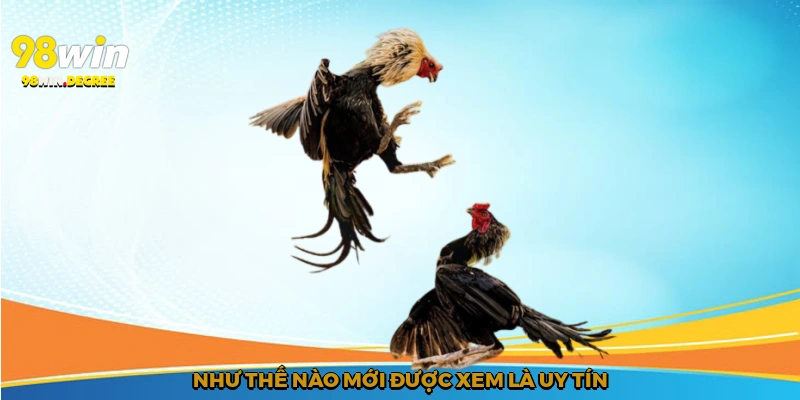 Đá Gà Online Uy Tín - Lựa Chọn Hoàn Hảo Cho Dân Chơi 98Win 2 Như thế nào mới được xem là uy tín